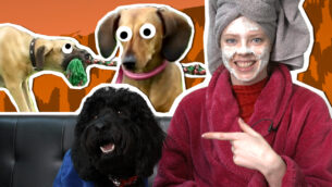 DOGS, DOGS, DOGS! | UNTAMED