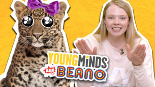 Stressed Leopards!