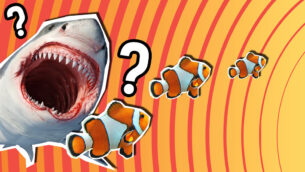 What Fish Am I?