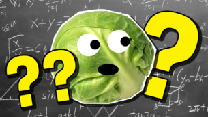 Year 6 Maths Quiz!