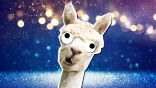 Llama Jokes