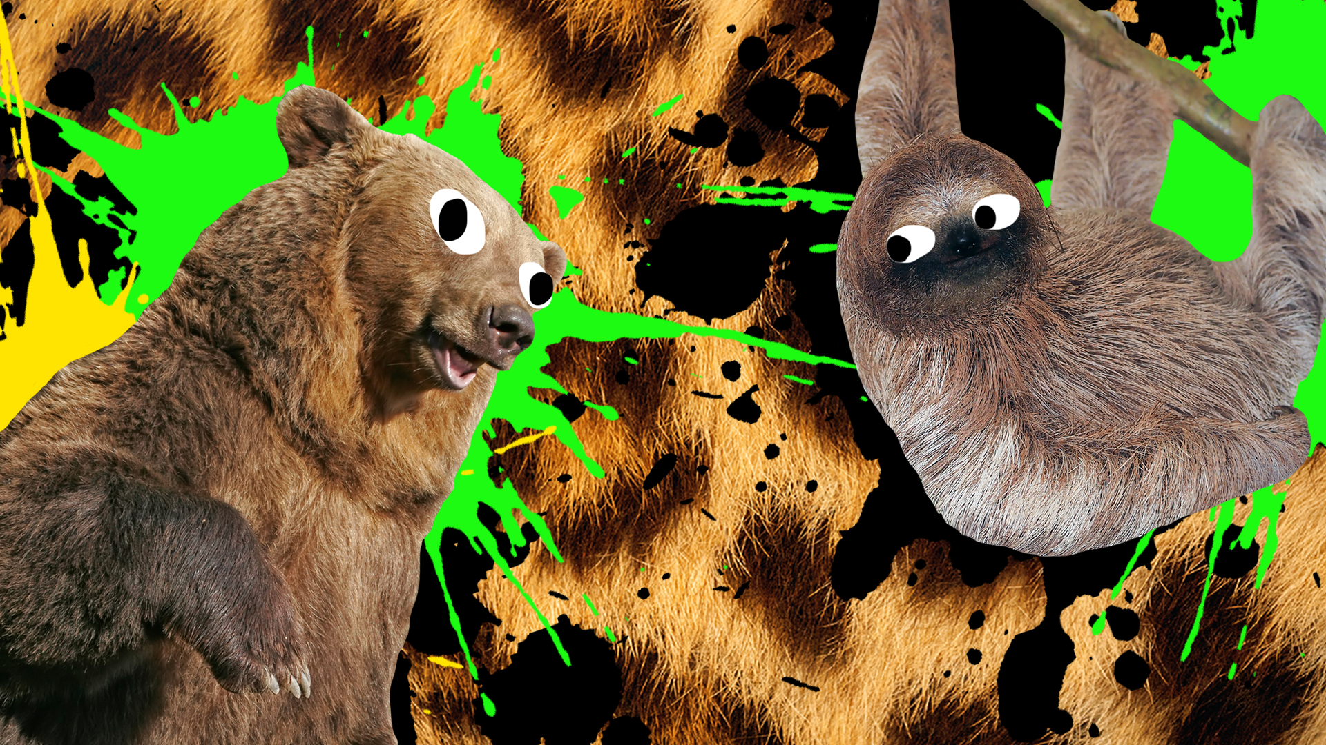 Animal jokes