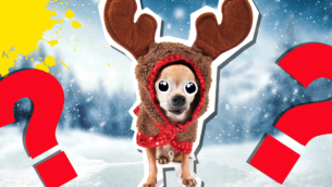 Say What You See Christmas Quiz!