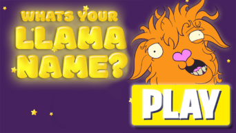 Choose a Llama name quiz