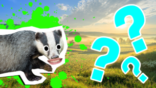 Can You Ace This Countryside Trivia Quiz?